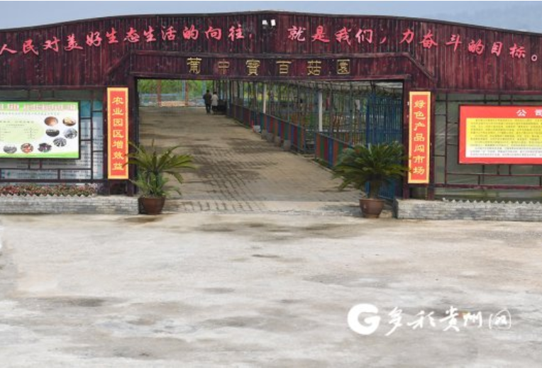 【民族要复兴 乡村必振兴】金沙西洛街道：让村民在家门口就业致富