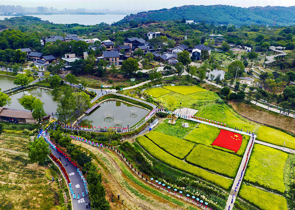图片5.jpg