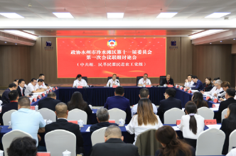 李辉、李胜利参加政协联组讨论