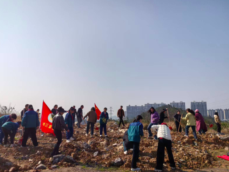 曲河街道：“植”在增福 “茵”你而美