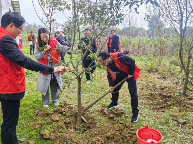 岚角山街道开展义务植树活动