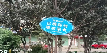 注意！冷水滩城区绿化带已全面消杀 路边果千万别摘