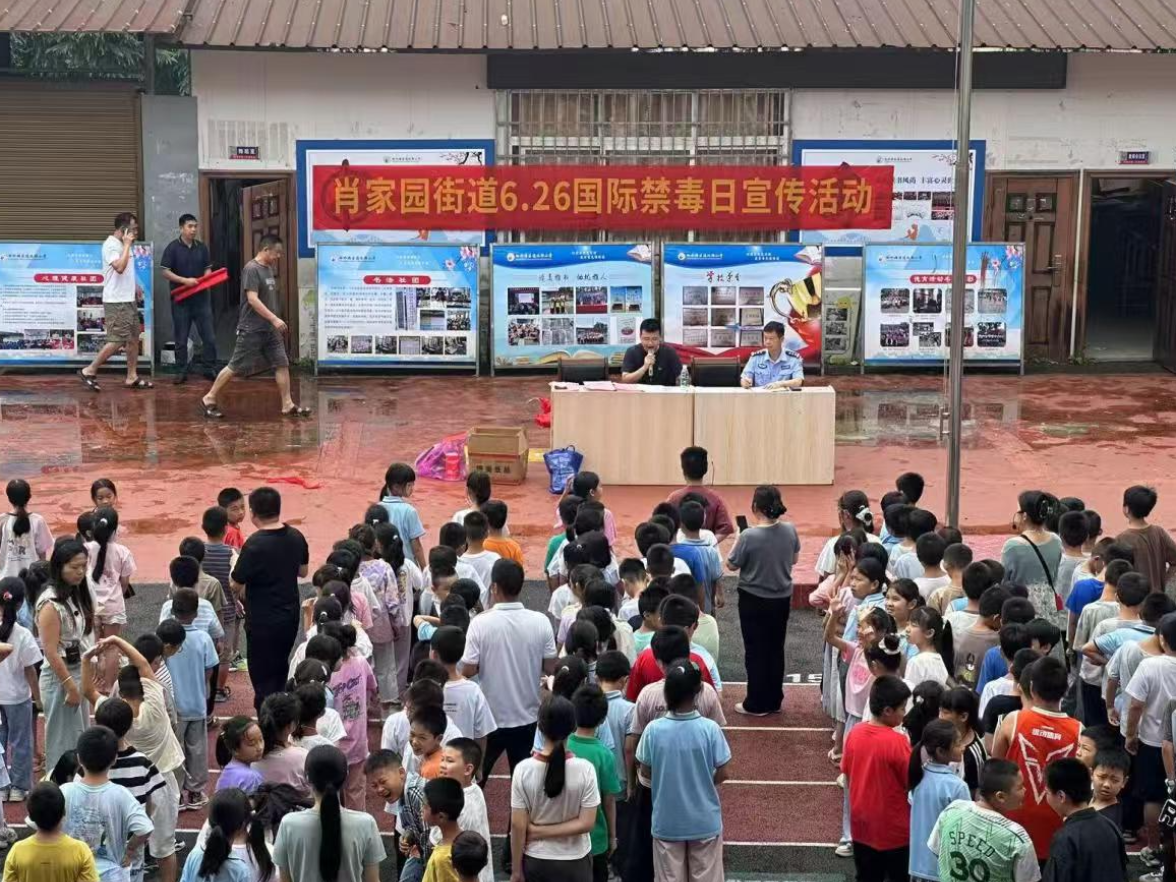肖家园街道开展禁毒宣传进校园活动