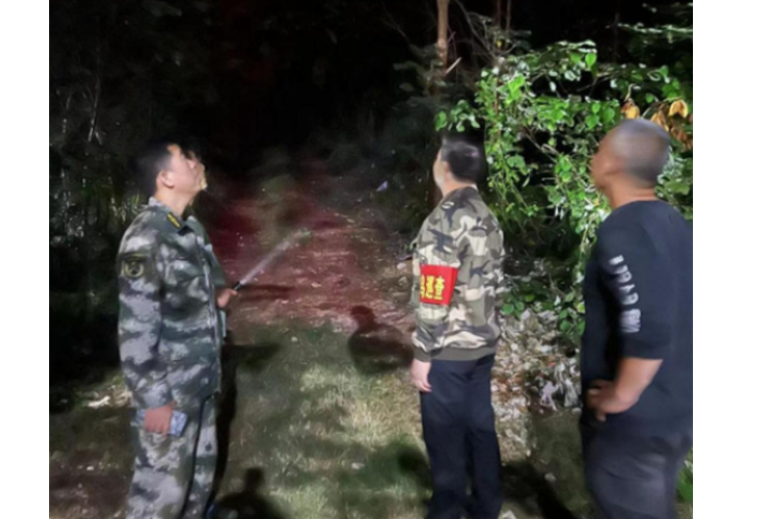 永州冷水滩：全力打击非法捕猎贩卖候鸟行为