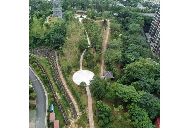 逐绿前行 处处皆景 冷水滩市民共享绿色空间