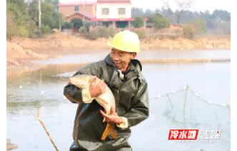 永州冷水滩：冬捕喜丰收 供应市场忙