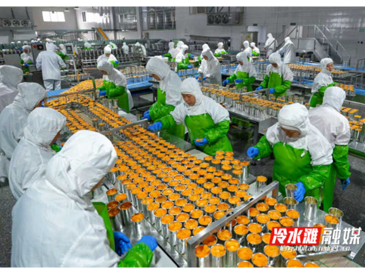 永州冷水滩柑橘深加工促增收