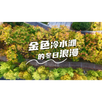 视频丨金色冷水滩的冬日浪漫