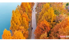 永州：多彩冬日美如画