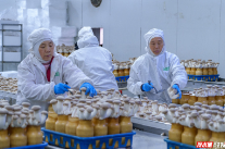 永州冷水滩菌菇出海扩市场