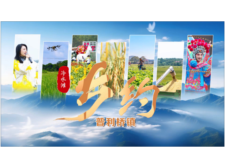 乡约·冷水滩丨普利桥镇