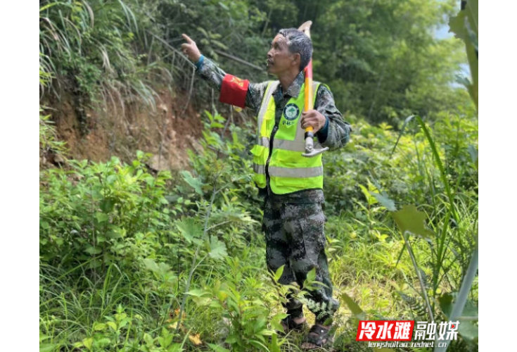 尹帮华：家乡情怀铸就十三年护林之路