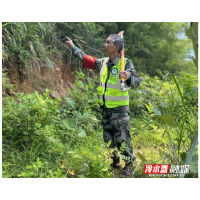 尹帮华：家乡情怀铸就十三年护林之路