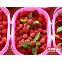 永州冷水滩：杨梅抢“鲜”上市 尽享夏日“梅”好时光