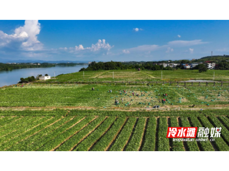 永州冷水滩特色产业促增收