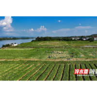 永州冷水滩特色产业促增收