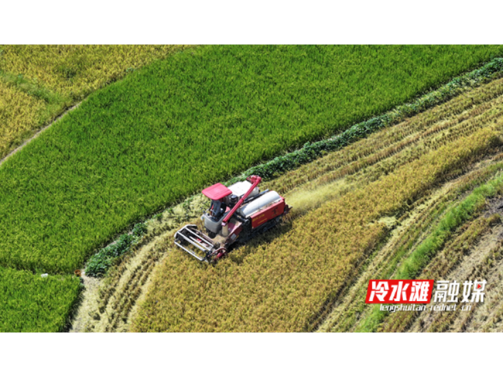 永州冷水滩：推广秸秆综合利用技术 让秸秆“变废为宝”