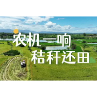 视频丨农机一响 秸秆还田
