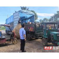 冷水滩区市场监管局全力守护伊塘西瓜交易市场公平秩序