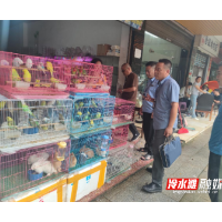 冷水滩：多部门联动 重拳整治非法野生动物交易