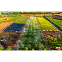 冷水滩：科技“润”苗 节水增收