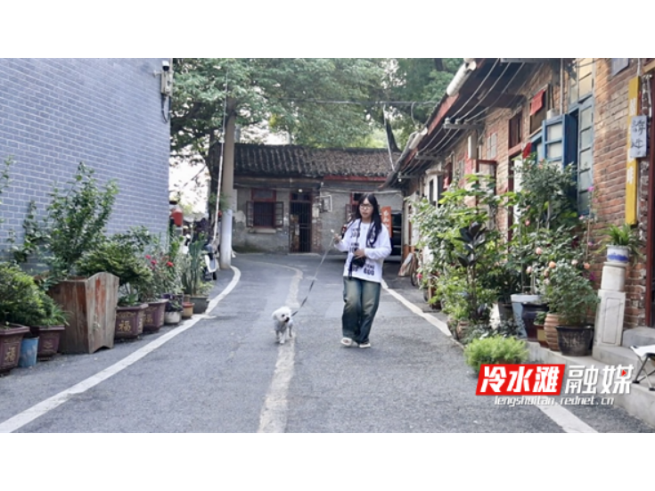 “微改造”改出“网红社区” 永州这个老社区成多元消费新地标