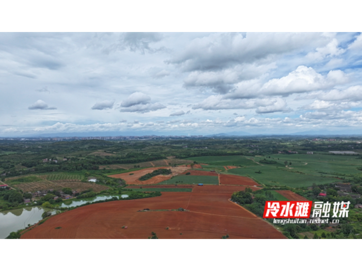 永州冷水滩：科技助力秋玉米播种 “接茬轮作”增效益