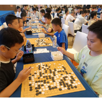 2025永州围棋升级升段赛圆满落幕 众小将崭露头角