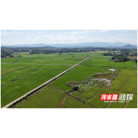 永州冷水滩“一喷多促”护航秋粮丰收