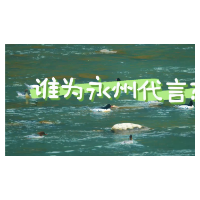 永州市鸟评选十强名单来啦！