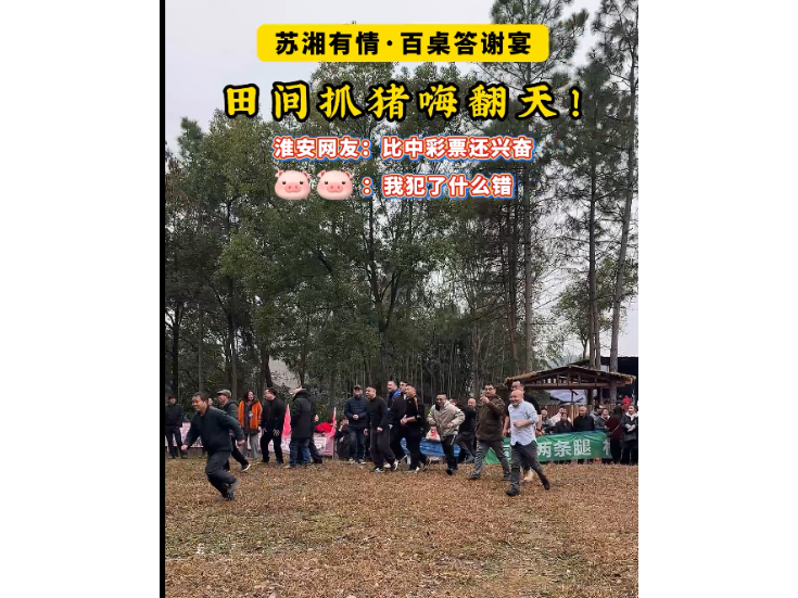 视频丨冷水滩：“苏湘有情·百桌答谢宴” 田间抓猪嗨翻天！