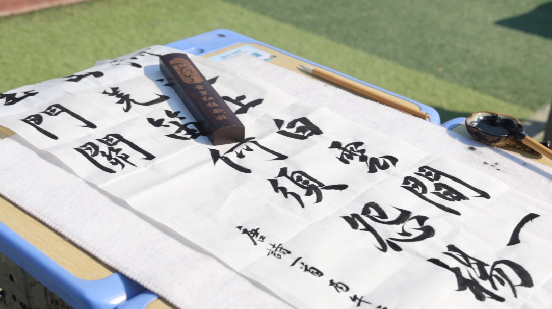 图片C31.png