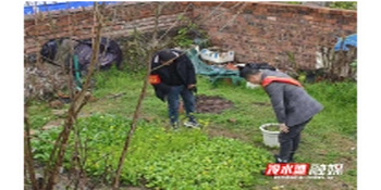 肖家园街道：组织开展禁毒铲毒排查活动