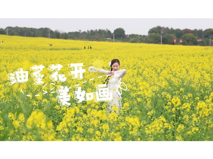 视频丨冷水滩：油菜花开美如画