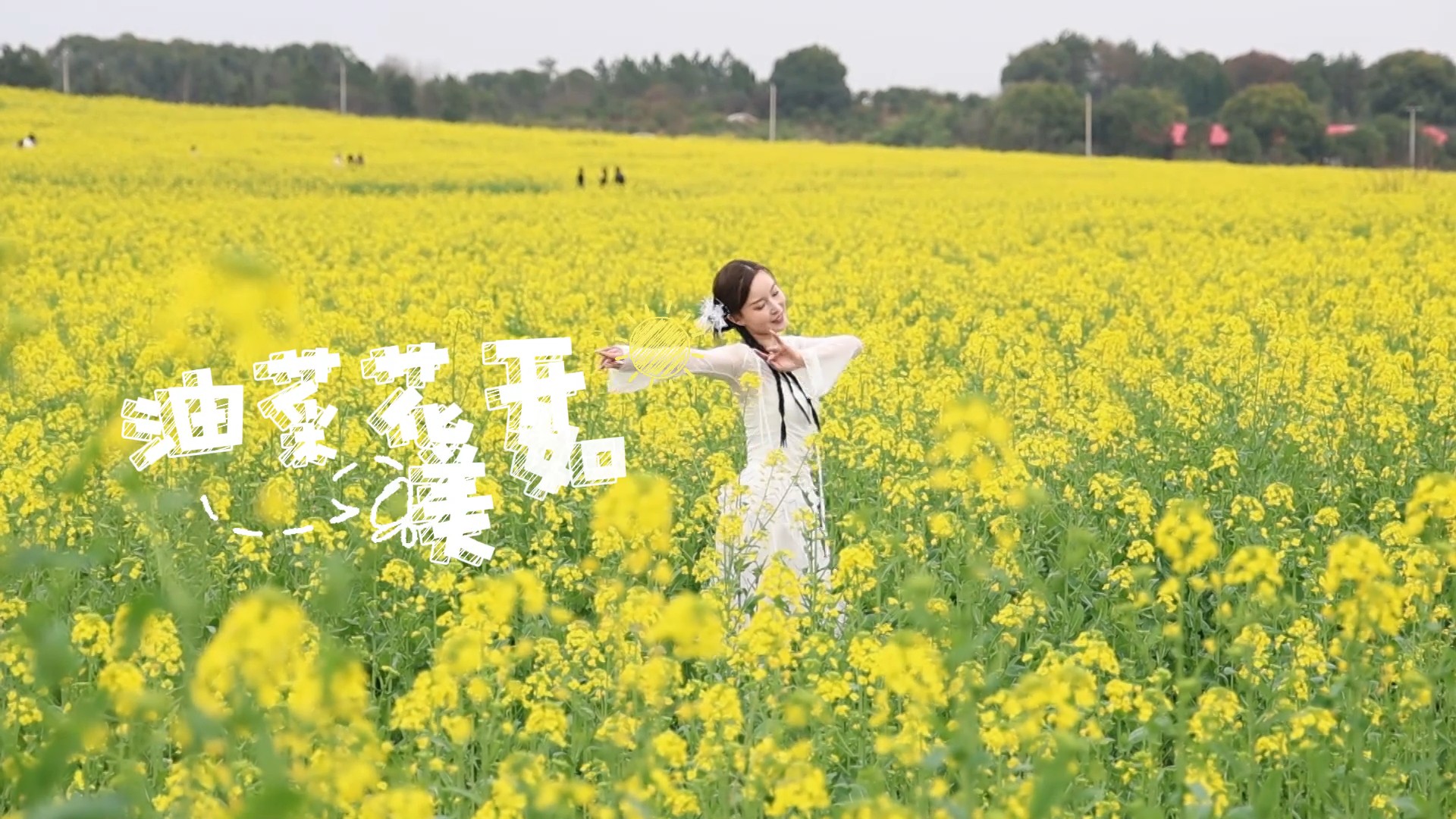 冷水滩油菜花开美如画