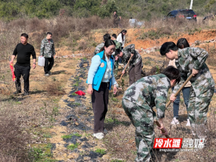 牛角坝镇：植绿护绿添新景 油茶栽种正当时
