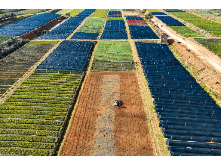 永州冷水滩：苗圃春管忙 乡村振兴添新绿