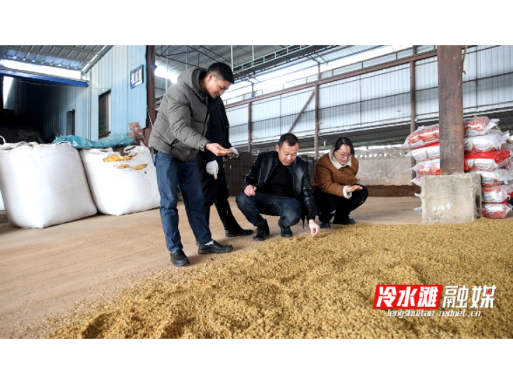 永州冷水滩：精准包联助春耕 农技服务直通农户