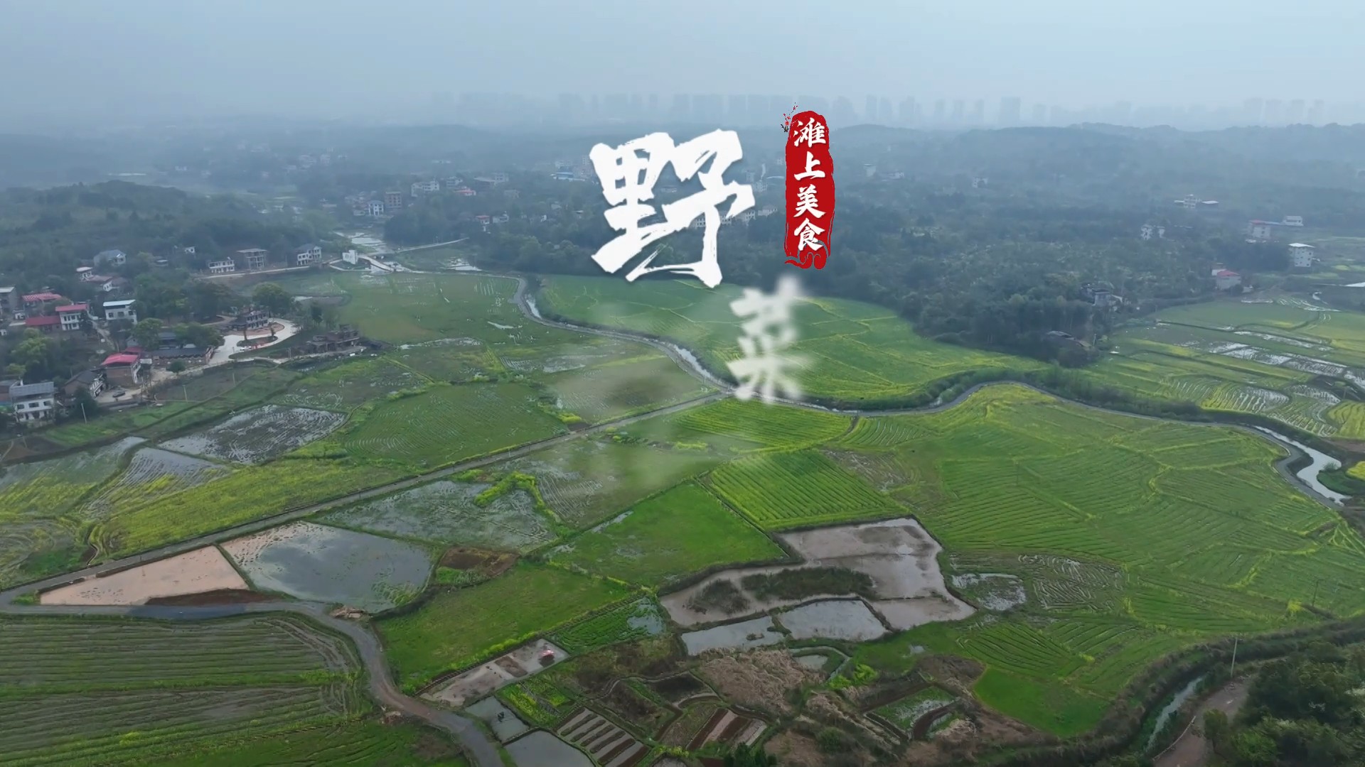 滩上美食丨野菜粑粑