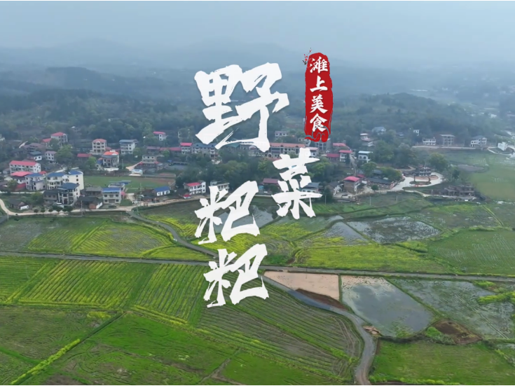 滩上美食丨野菜粑粑