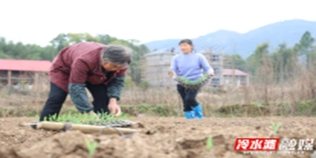 冷水滩区特色产业促增收