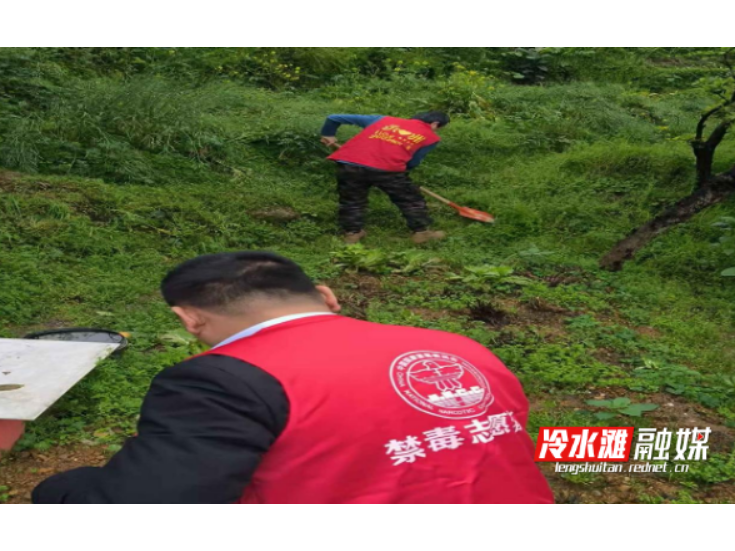 菱角山街道忠烈社区开展禁种铲毒集中宣传活动
