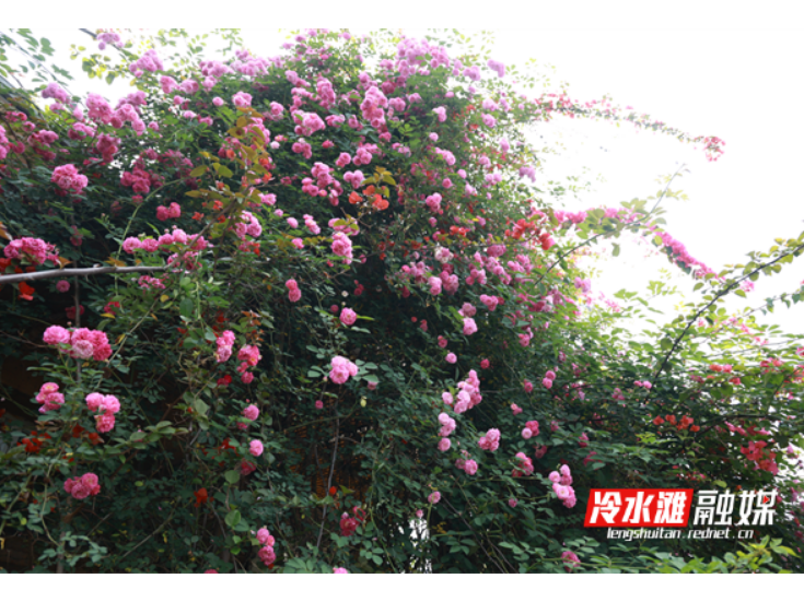冷水滩：零工驿站繁花绽放 尽显春日温情