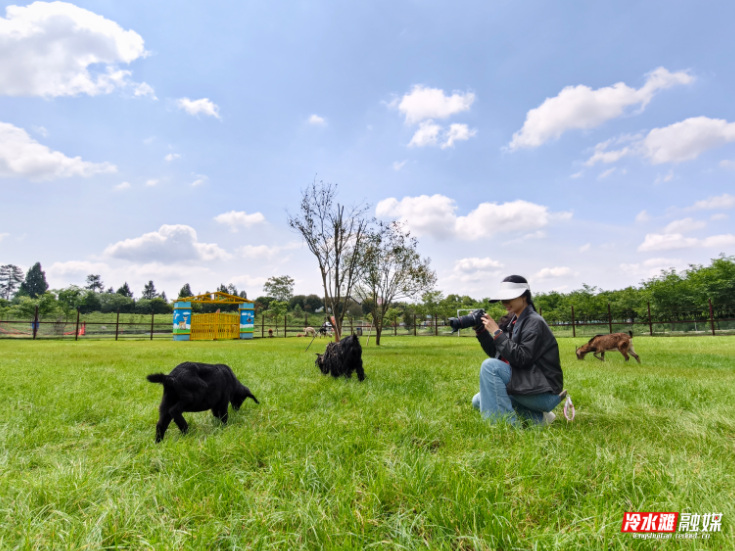 春假就近享野趣 永州森林植物园成度假热门地