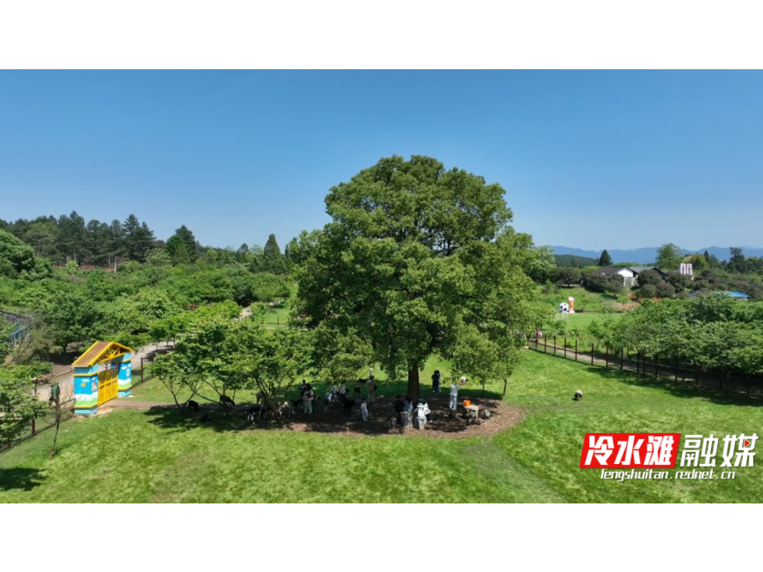 永州：春假邂逅五一 山林湿地生态游受热捧