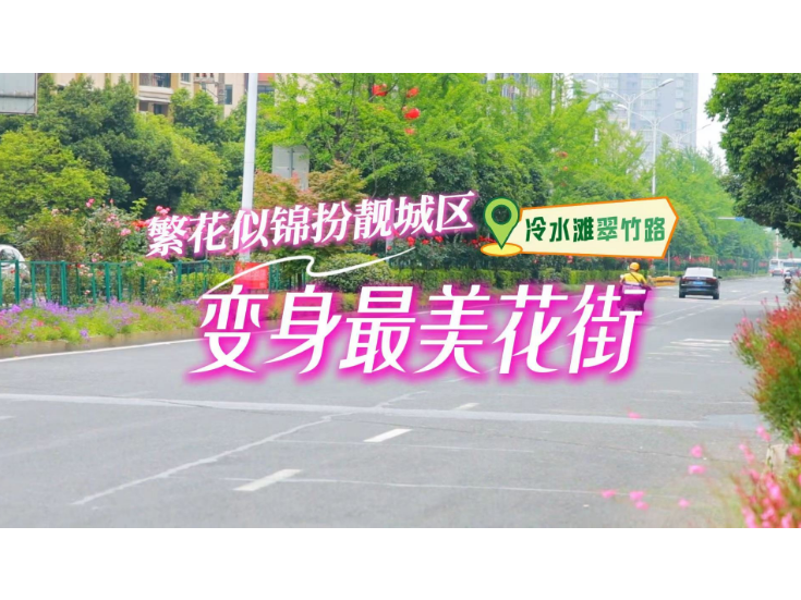 视频丨不用远行，就在冷水滩！翠竹路成“最美花街”