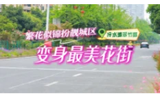 视频丨不用远行，就在冷水滩！翠竹路成“最美花街”