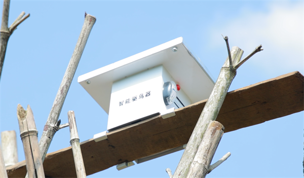微信图片_2026-06-17_093027_345.png