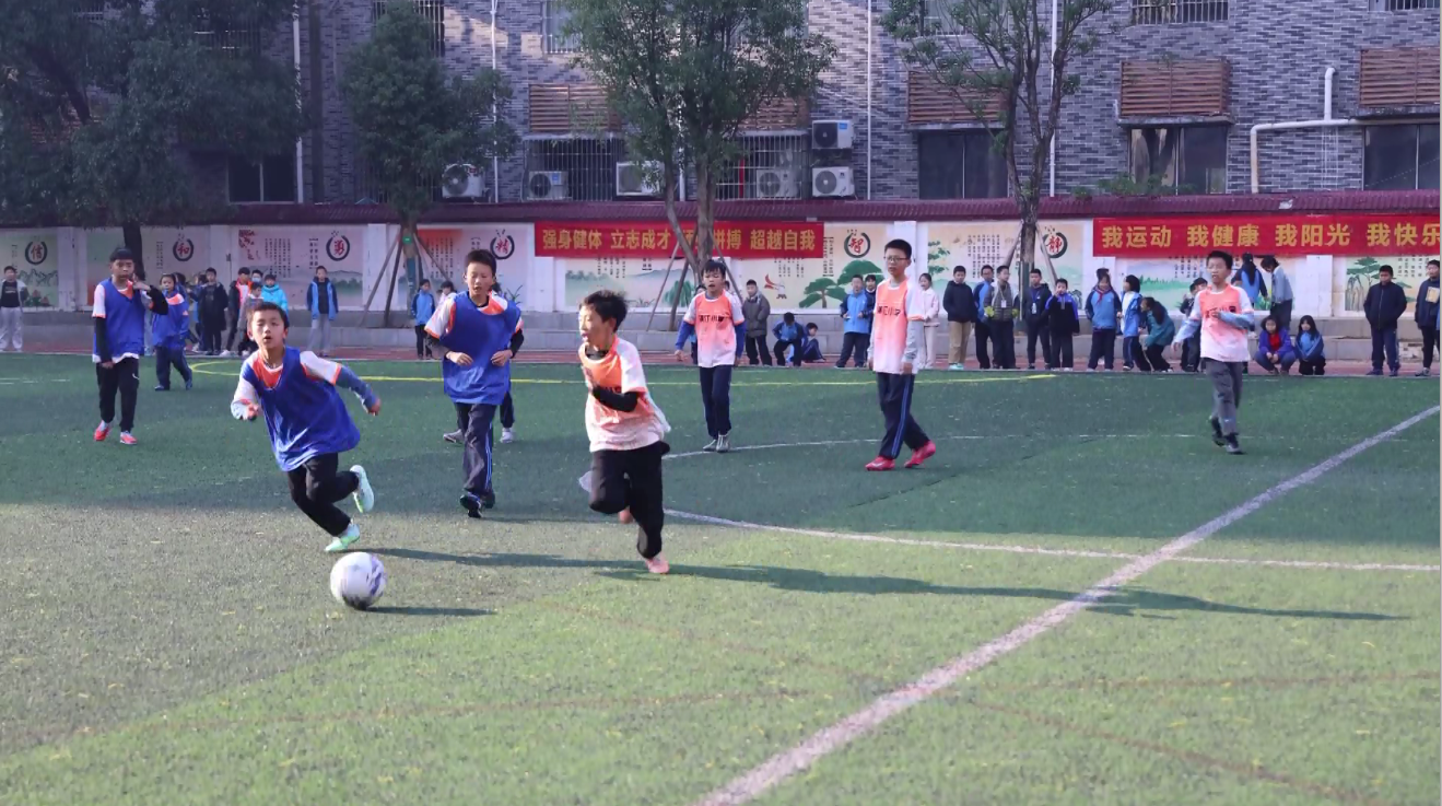 微信图片_20260629151311_427_37.png