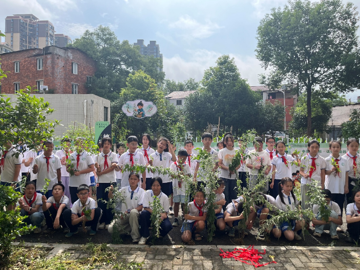 翠竹园小学：以劳润心种本草 躬身实践迎丰收